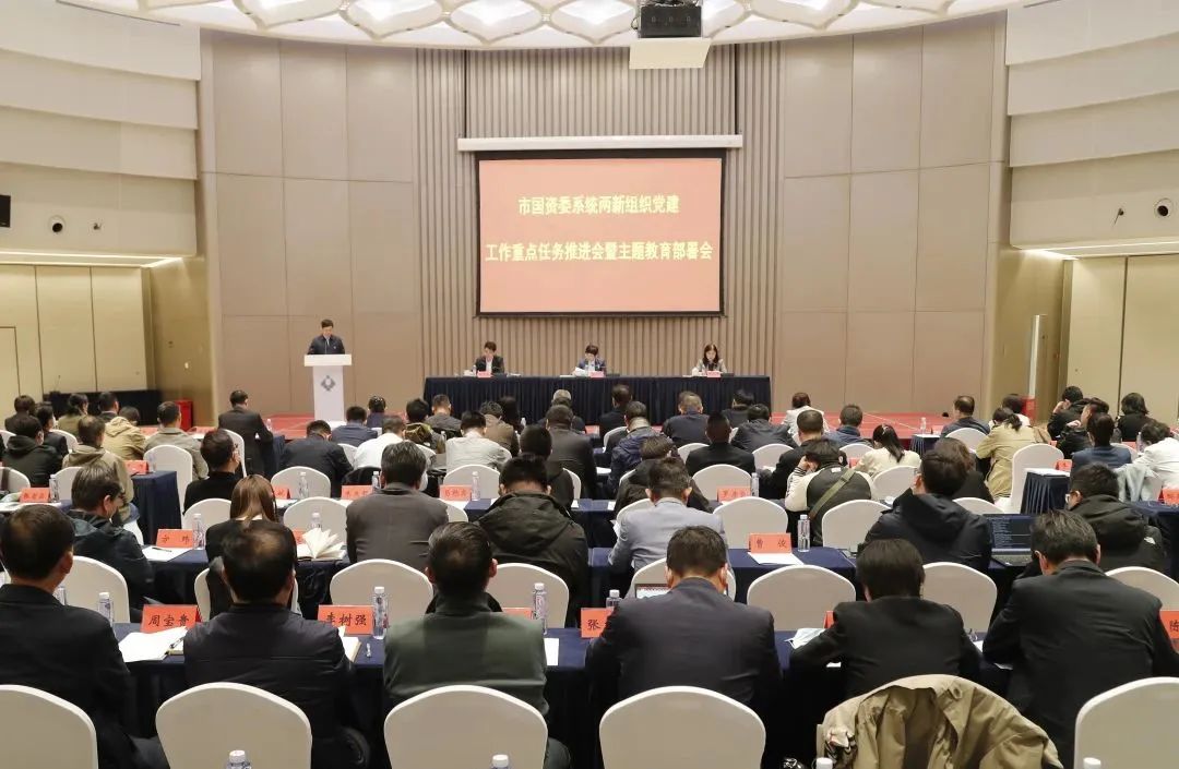 集團黨委書記潘壽林在市國資委“兩新”組織黨建工作會上作專題發言